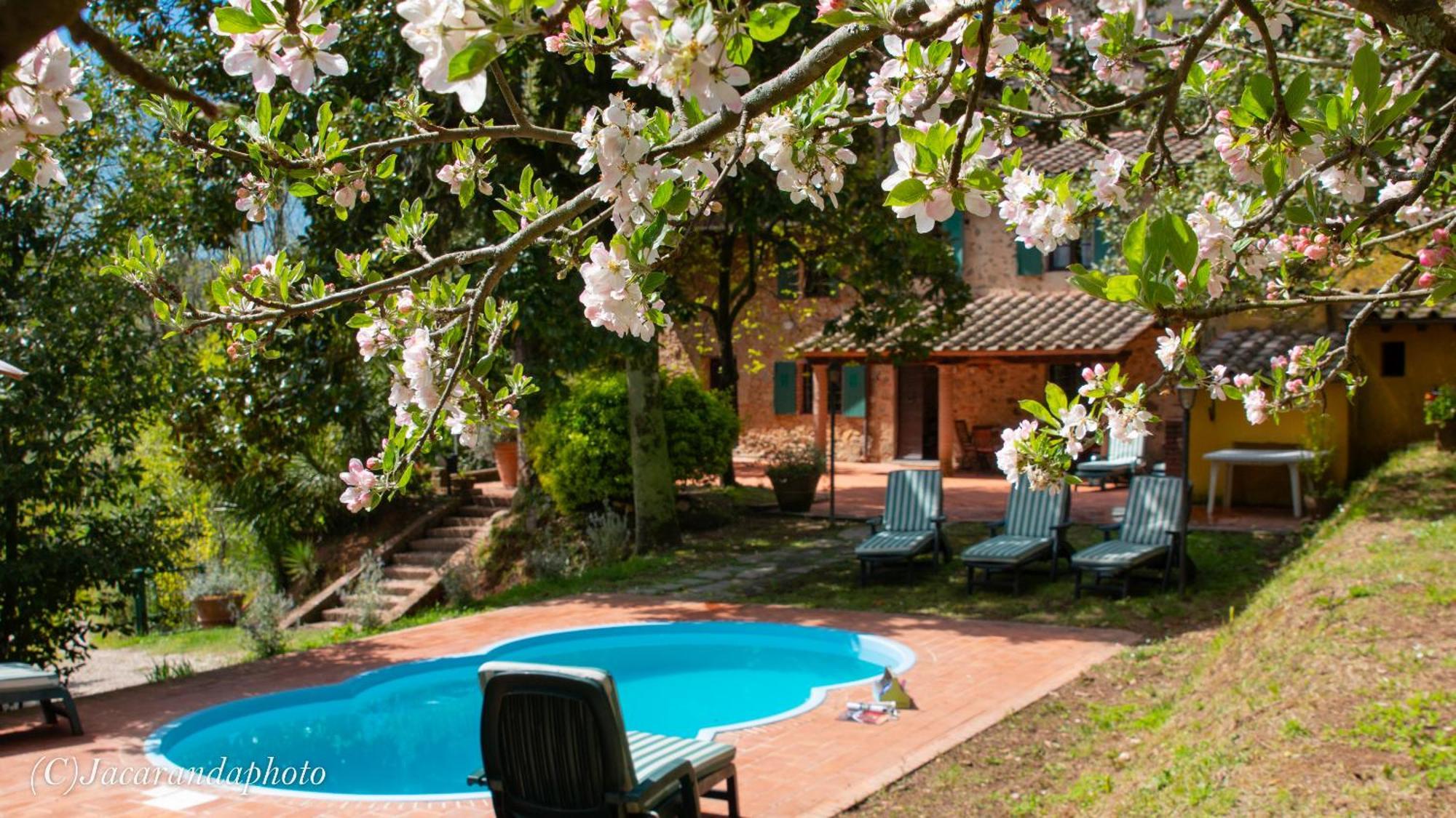 Villa La Pieve Camaiore Εξωτερικό φωτογραφία