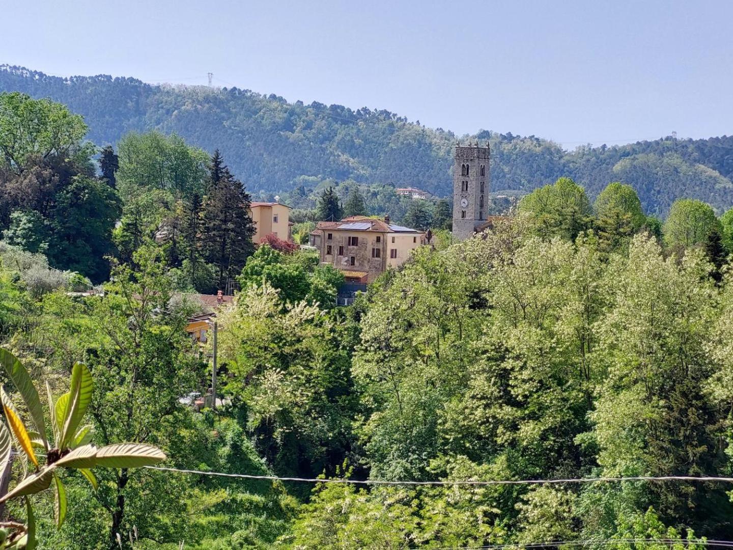 Villa La Pieve Camaiore Εξωτερικό φωτογραφία